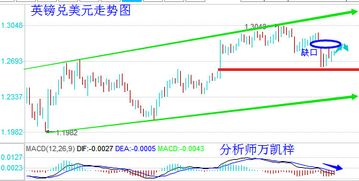 瑞士百达：日本央行将逐步加息