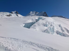 谷爱凌在2023年自由式滑雪世界杯上表现出色，成功夺得第15枚金牌，为中国队再添一枚宝贵的金牌。