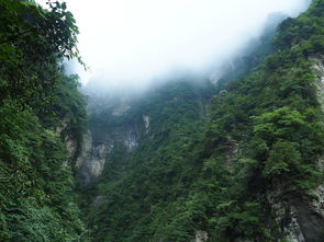 揭秘中国五大名山，雄奇瑰丽，文化与自然的壮丽画卷