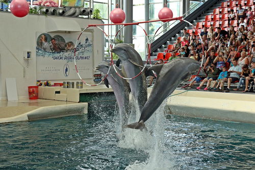 沈阳方特乐园学生特惠来袭，门票价格与游玩攻略全解析