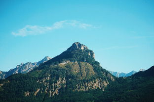 泰山，五岳之首，以其壮丽的自然景观和深厚的文化底蕴，吸引了无数游客前来朝圣。每一位游客，无论是初次登高远眺，还是多次踏春寻秋，都能从泰山那里汲取到人生的智慧和启示。