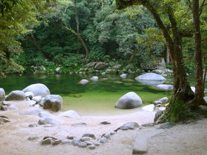 揭秘九寨沟门票背后的环保与旅游趋势探讨