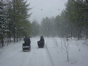 东北暴雪后骑马出门，一场别样的雪国奇缘